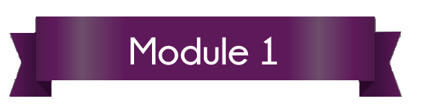 Module1